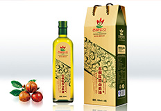 山茶油品牌365完美体育
如何塑造呢？