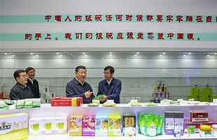 习近平主席在看《北斗设计公司》包装策划作品