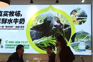 恭祝小亲牛品牌365完美体育
成功登陆市场