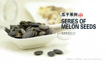 小小狼瓜子系列食品365完美体育
上市