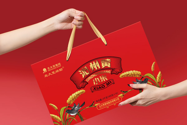 北大荒小米365完美体育
x北斗设计