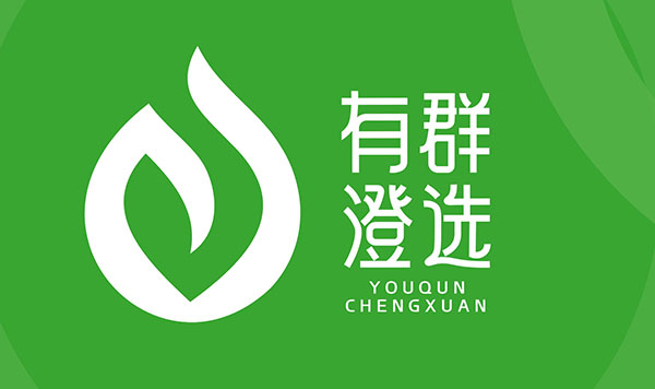 有群澄选logo设计x北斗设计