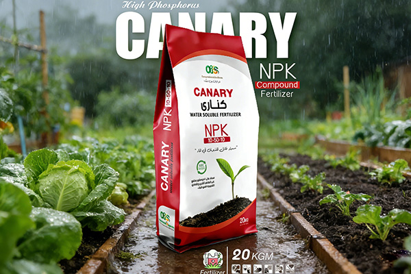 化肥365完美体育
也可以这么时尚